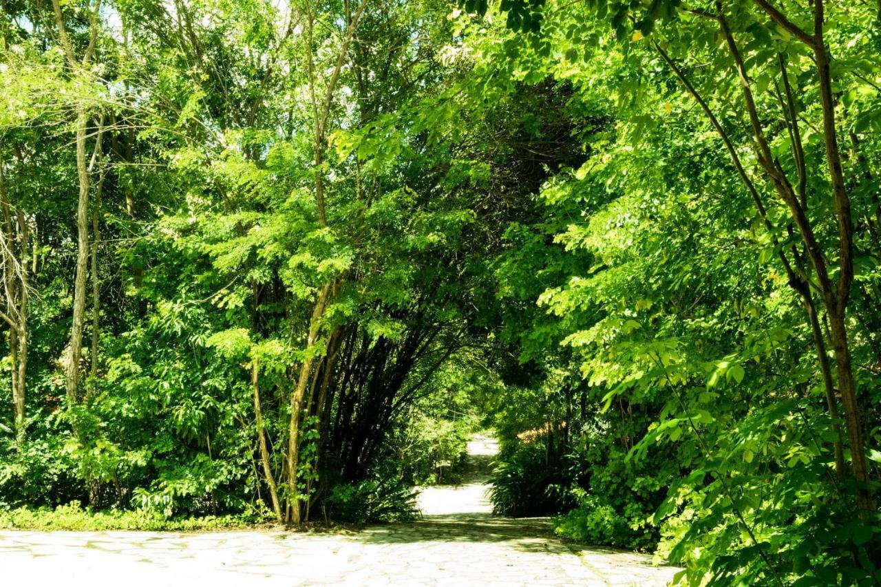 Pousada Villa Das Pedras Pirenópolis 外观 照片